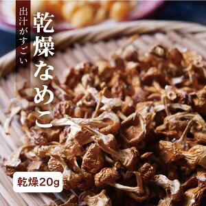 旨味が凄い! 国産 無添加 干しなめこ 乾燥 なめこ【 国産 石川県産 木滑り なめこ 使用】調味料 出汁 滑子 ナメコ 乾燥滑子 乾燥きのこ きのこ ポスト投函 送料無料 1000円ポッキリ