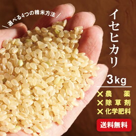 【 一等米 奇跡のお米 】 2025年 令和7年米 イセヒカリ 3kg ＜ 玄米 白米 5分づき 7分づき ＞ 送料無料 無農薬 令和7年米 エコファーム奥野 伊勢光 オーガニック 無農薬玄米 分づき米 お米 米 特別栽培米 お供え お供え米 伊勢神宮 神棚