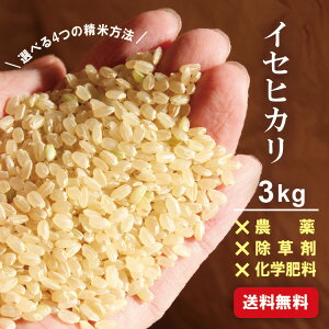 V y ꓙ Ղ̂ z 2025N ߘa7N CZqJ 3kg    5Â 7Â   _ ߘa7N GRt@[ ɐ I[KjbN _򌺕 Â  