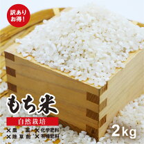 楽天市場】もち米 無農薬の通販