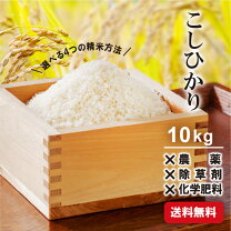 楽天市場】無農薬 五分づき 玄米 10キロの通販