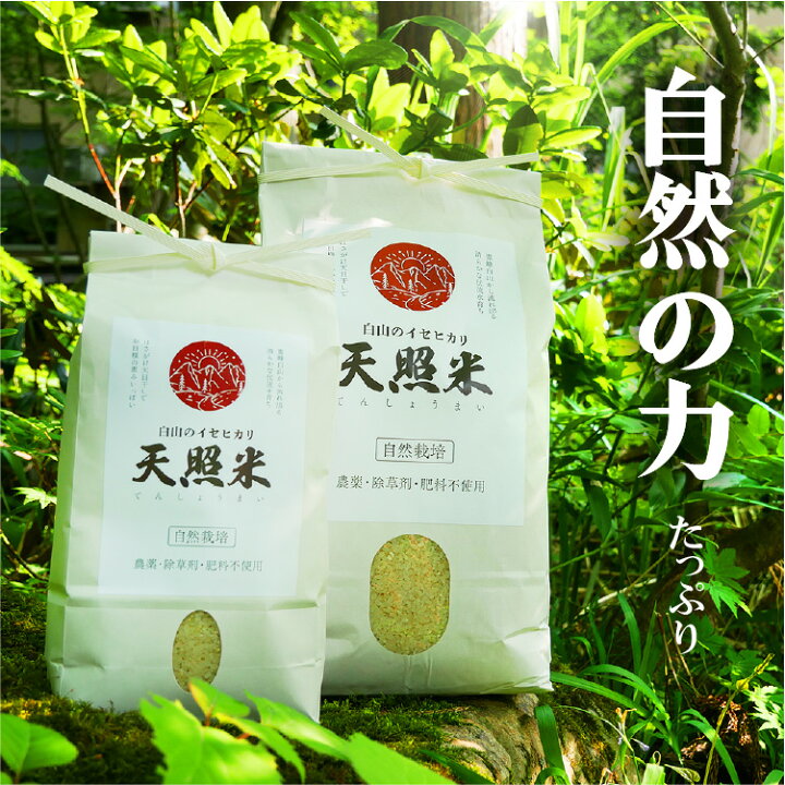 楽天市場】30%オフ SALE 16700円→11690円 自然栽培米 お米 10kg 無 