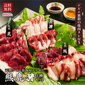 ジビエ 【 熊 鹿 猪 3種 焼肉セット 】＜計600g 2〜3人前＞石川県で狩猟 天然 ジビエ肉 ジビエ旅館の 無添加 焼肉 タレ2種付 熊肉 鹿肉 猪肉 しし肉 くま クマ ツキノワグマ ジビエセット ギフト 御中元