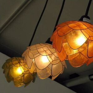 y_gCg i` AWA JsXL GXjbN VƖ  킢  gC Lb` JtF Vv AeB[N LEDΉ 1 JsXVFy_gv