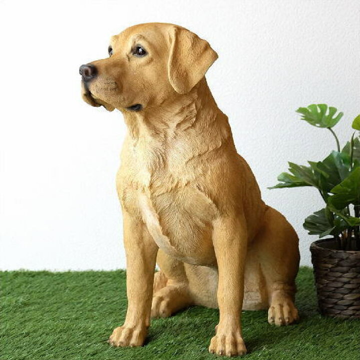 楽天市場】犬 置物 屋外 玄関 リアル 大型 大きい オブジェ イヌ いぬ 