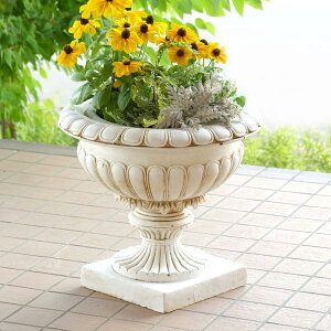 v^[  K[fjO  Ch K[f R RR [sA o[hoX I[ig AeB[N  | K[fv^[ B