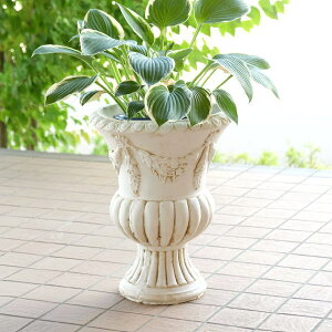 v^[  K[fjO  nC^Cv K[f R RR [sA o[hoX I[ig AeB[N  | K[fv^[ A