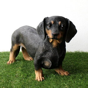  u O  A ^ 傫 IuWF Ck  u hbOI[ig CeA  K[f  | K[fjO rO 킢  ybg Aj}  hb