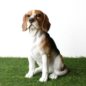  Ck  u IuWF hbOI[ig r[O Aj} 킢  GgX K[fI[ig ybg  hbOI[ig r[O