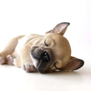  u IuWF Aj}  q 킢 hbOI[ig  GgX t`uhbO K[fI[ig Ck  ybg  ˂ނt`ȕȒu