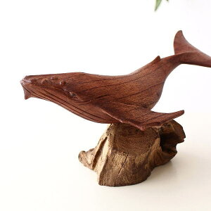 NW u IuWF ؒ ؐ C̐ VR  ~ u i` CeA G Ö؂Ɩؒ̃NW̒u