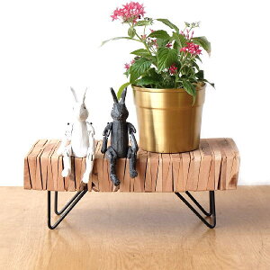 fBXvCX^h ԑ t[X^h ACA ؐ  VR ̖ Ԓu I i` RpNg ACAƃEbhs[X̃fBXvCX^h Ng