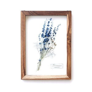 A[gt[ i`  A[gpl _ CeA Ǐ A O[ KX ؐ ؘg EH[fR t[vg̃KXt[B