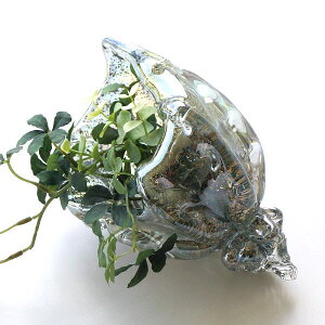 u IuWF KX VF Lk C } G I[ig  CeA KX̃IuWF VFu[