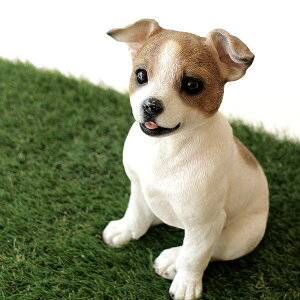  Ck  u IuWF Aj} hbOI[ig q  GgX K[fI[ig ybg  ps[WbN̒u