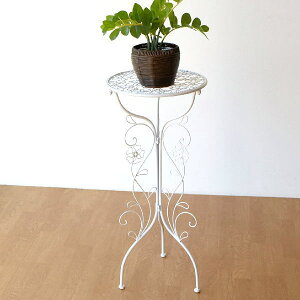 ACA t[X^h  Ԕ K[fjO  ԑ fUC v^[X^h K[fX^h ACAfBXvCX^h T[N WH