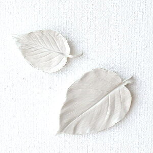 Ǐ Ǌ|  [t A[gpl 召Zbg EH[fR g ǖ  fBXvC AeB[N Vr[ t` CeA EH[fR[V [t2Zbg