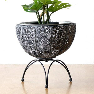 Jo[ v^[|bg  ACA AeB[N  rt 6 t[X^h t[|bg rO ϗtA A ^t[ rt|bg S