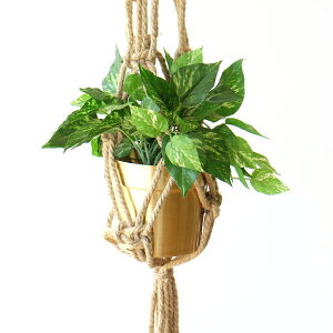 }N vgnK[  v^[ nMO Ǌ| ݂艺  [v CeA i` }Nv[nK[