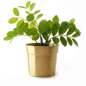 Jo[ v^[ ^J |bgJo[ S[h AeB[N ԑ Vv v^[Jo[ ϗtA rO  XsjO|bg 160