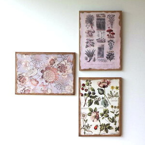 A[gpl  A R _ k AeB[N g i` W[g  Ǌ|CeA A[gt[ Ǐ  EH[fR EH[A[gpl Ǌ|t[ ؘg 