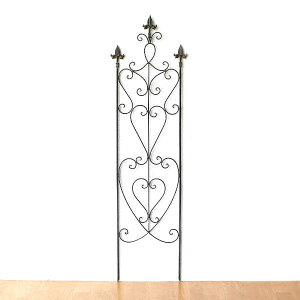 gX tFX K[f  d؂ 킢 oRj[ ACA nC^Cv [sA   AeB[N g K[fgXXeBbN