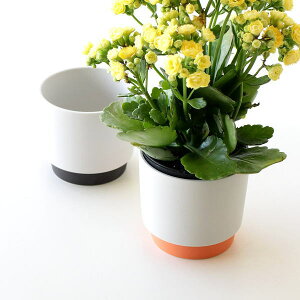 v^[|bg  v^[ 2.5   킢 Aؔ t[|bg A ꌊ K[fjO VR  { Z Obv v^[|bg S 2J[