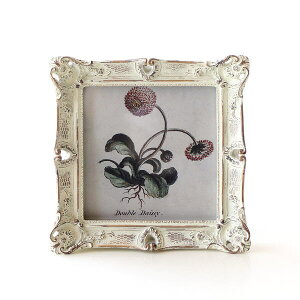 tHgt[ ʐ^ ` Ǌ|  ܂ ^lp CX^   ~j  AeB[N g 킢 NVbN KX  ʐ^ tHgX^h v