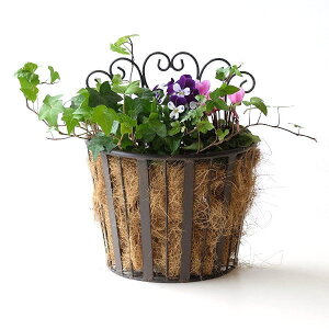 oXPbg Ǌ| EH[bN EH[oXPbg K[fbN K[fjO Ǌ|bN ACA   JS  v^[ AeB[N ACA2wayoXPbg