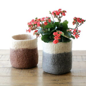  Jo[ v^[ |bgJo[  r tFg 킢 a14.5 4 i` ~` Jo[ CeA rуtFg̔Jo[ M 2J[