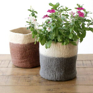  Jo[ v^[ |bgJo[  r tFg 킢 a20 6 i` ~` Jo[ CeA rуtFg̔Jo[ L 2J[