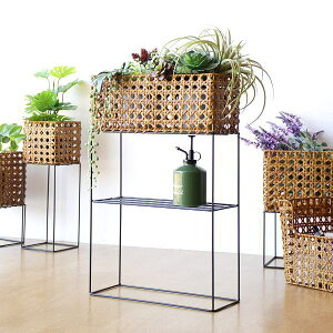  JS oXPbg Jo[  ` Ch v^[Jo[ ԑ nC^Cv Lb` [ i` 킢 XgbJ[  tFCN^ƃACÃ|bgX^