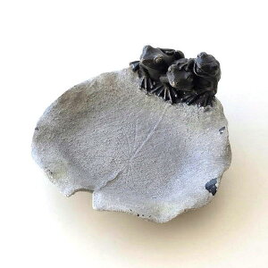 o[htB[_[ ̉a 쒹   V AeB[N K[f K[fjO  M JG IuWF I[ig o[htB[_[ tbO