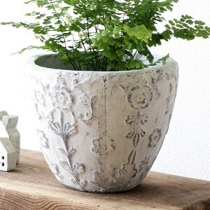 Jo[ v^[   |bgJo[ AeB[N NVbN v^[Jo[ ϗtA rO ֔ CeA ̃NVJ|bg