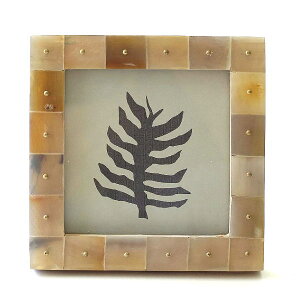 tHgt[ ʐ^ ` ܂ Ǌ|   z ^J _ i` p  Rf ~j  tHgX^h ʐ^ v[g {[ƃuXhbg̃tH