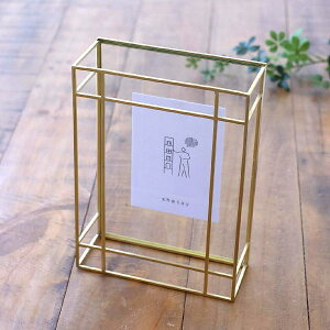 tHgt[ ʐ^ KX  2L nKLTCY |XgJ[h L L S[h {bNX  ^  Vv ACA NA   ʐ^ tHgX^h c a