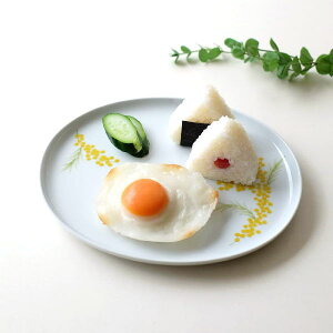 M aH 25cm u M v[g  ` Gt ȉ~M P[LM T_M M fU[gM pX^M  a_ l  킢 H@Ή dqWΉ ~