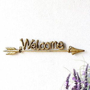 Ǐ ACA WELCOME  Ǌ|  hA TC{[h TCv[g AeB[N Vv  GgX CeA EFJEH[TC A[