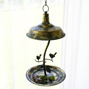 o[hoX o[htB[_[  ACA nMO ݂艺  a g AeB[N G 쒹 K[f nMO o[hoX uY