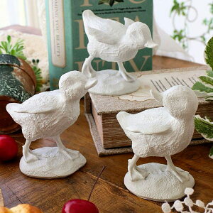 Aq  _bN u IuWF  3H Zbg  Zbg 킢 K[f  rO   G  y ̂ЂTCY CeA 񂿂ȃ_bÑ~jIuWF 3