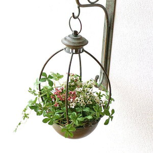 nMOv^[ ACA Ǌ| v^[  AeB[N Jo[ Vv o[htB[_[ K[f GgX Vr[ACÃEH[nMO