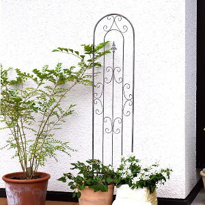 K[ftFX gX  킢 d؂ ACA 3Zbg [sA AeB[N p[e[V K[fjO oRj[  Vr[ȃACAA[`gX S 3