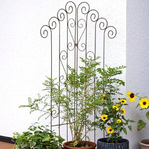 K[ftFX gX  킢 d؂ ACA 2܂ [sA AeB[N p[e[V K[fjO oRj[  Vr[ȃK[fjOtFX _u