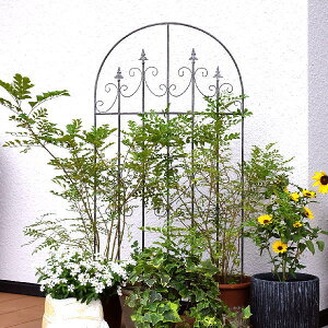 K[ftFX gX  킢 d؂ ACA [sA Ch Vv AeB[N K[fjO oRj[  Vr[ȃACAA[`tFX Ch