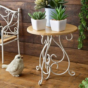 ~je[u fBXvCX^h ԑ t[X^h ؐ VR ACA TChe[u RpNg  Vv fBXv[  u X^h ACAƃEbh̃f