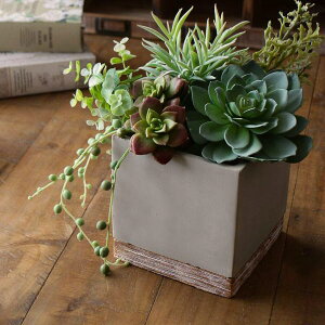  v^[ Zg lp  킢  Aؔ t[|bg A ꌊ 14cm 4 5 RN[g K[fjO oCJ[Zgv^[ XNGA