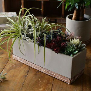  v^[ Zg `   킢  Aؔ t[|bg A ꌊ 33cm RN[g K[fjO oCJ[Zgv^[ NgO