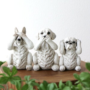  u IuWF  킴  CeA G 킢   Ck hbO DOG ObY  u 3Č̒u