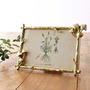 tHgt[ ʐ^  킢 u tHgX^h  ACA  g NVbN _ u^ ʐ^ A[g v[g CeA ACAS[h̃tH