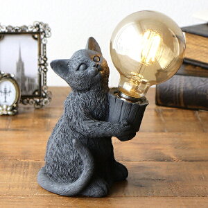 e[uv L u LEDd AeB[N g ドv Ɩ dr R[hX lR 킢 IuWF u CeA Aj}Cg Lbg